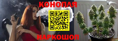 крисы Гусев