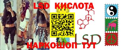 крисы Гусев