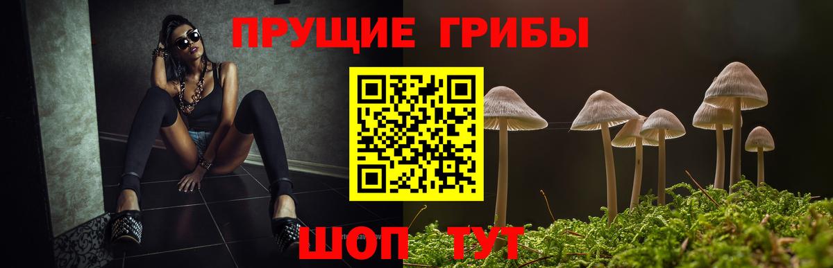 Псилоцибиновые грибы MAGIC MUSHROOMS Свободный